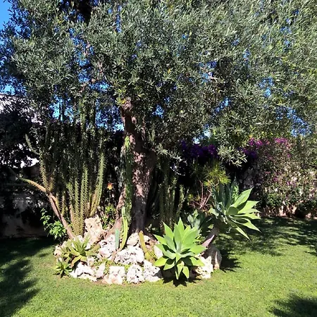Stifano - Myho Casa Apartment *
